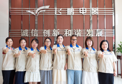 شركة دانيانغ فيبينج للأجهزة الكهربائية المحدودة